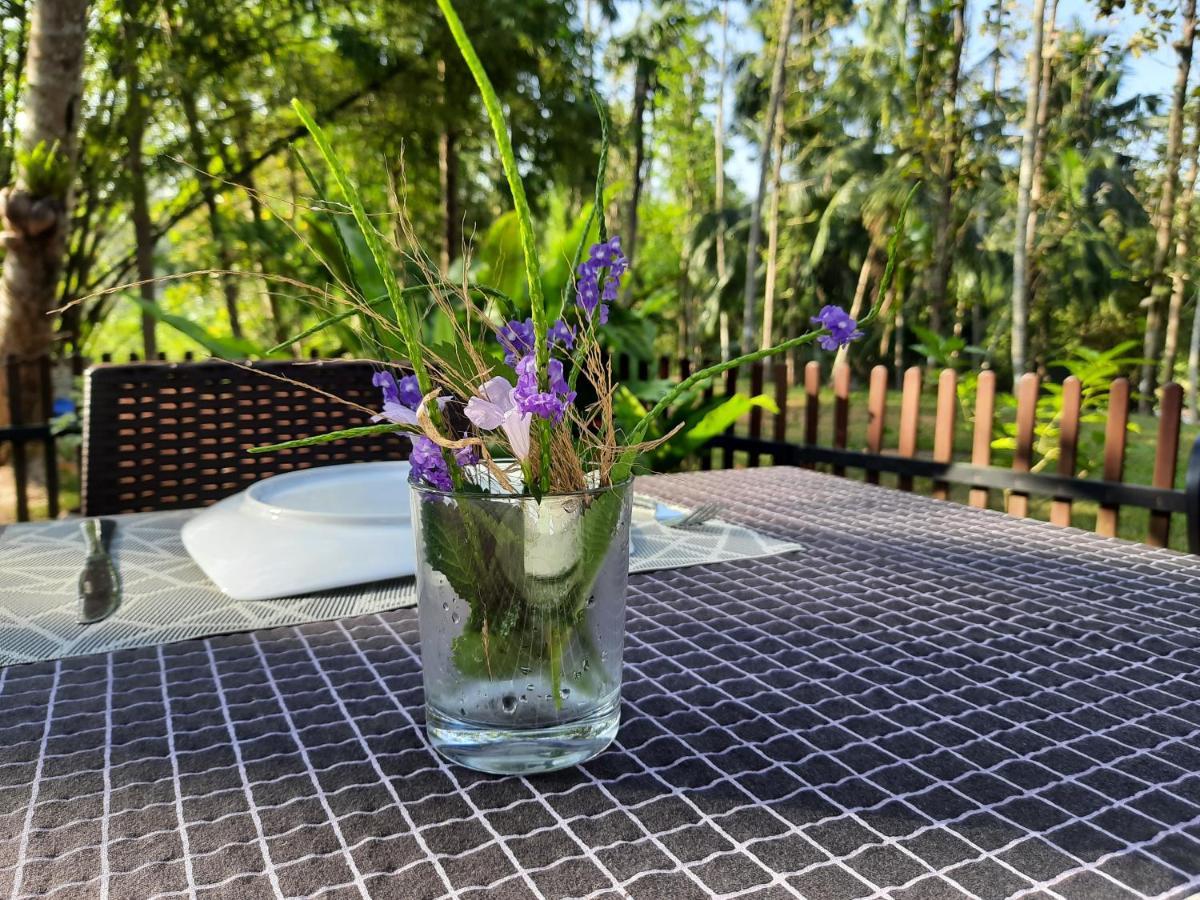 Nature'S Hideout Holiday Home Mirigama Экстерьер фото