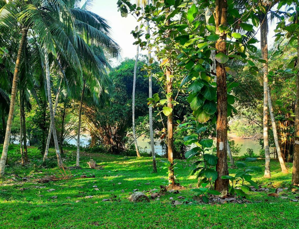 Nature'S Hideout Holiday Home Mirigama Экстерьер фото
