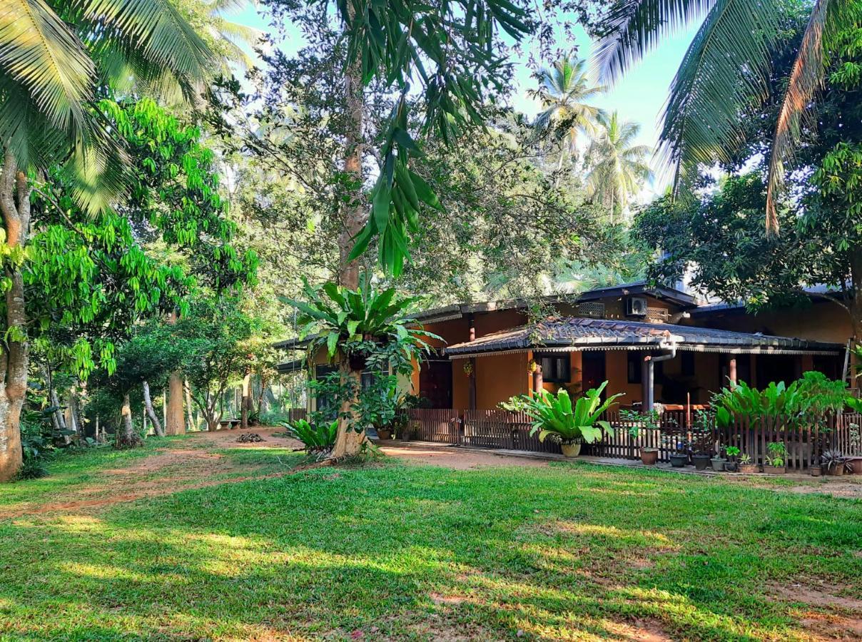 Nature'S Hideout Holiday Home Mirigama Экстерьер фото