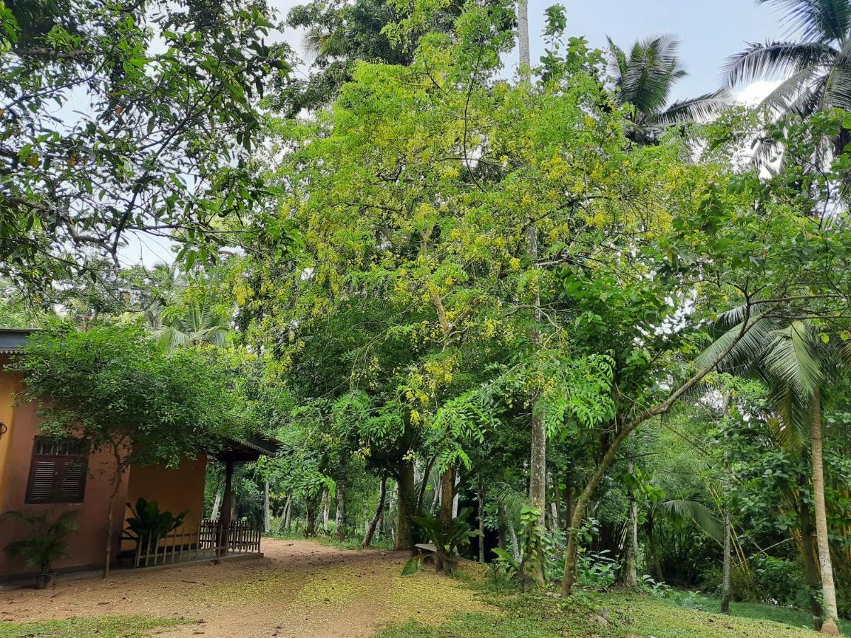 Nature'S Hideout Holiday Home Mirigama Экстерьер фото