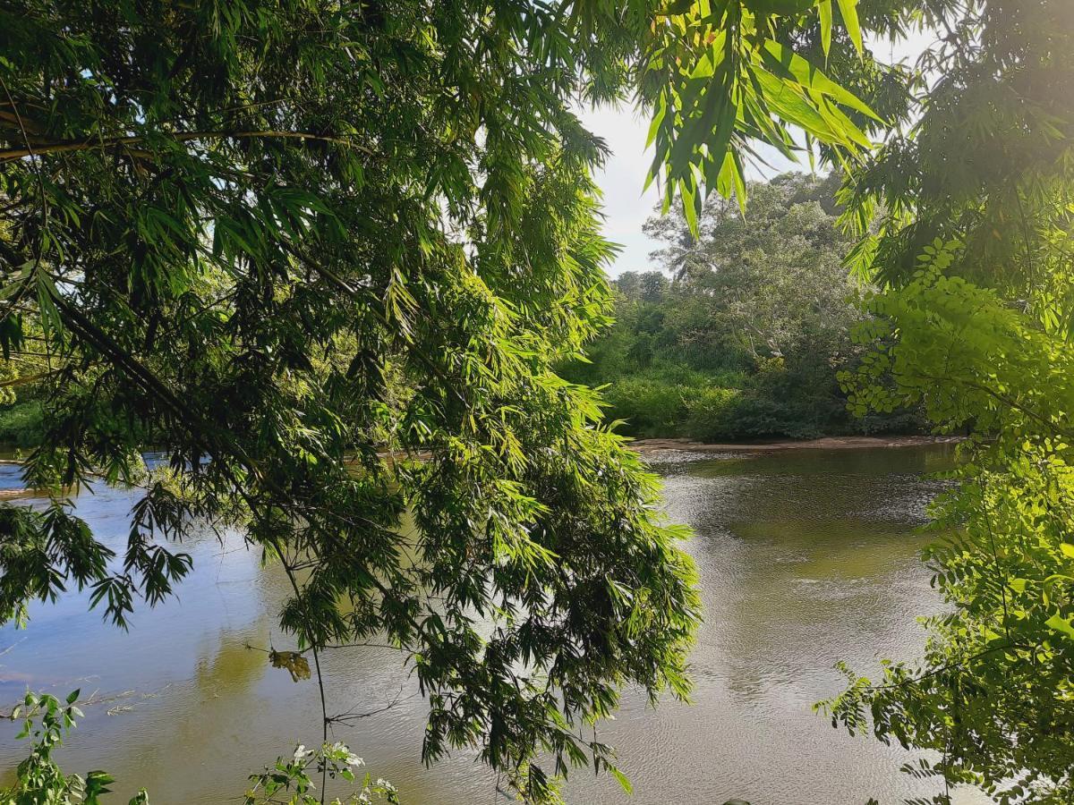 Nature'S Hideout Holiday Home Mirigama Экстерьер фото