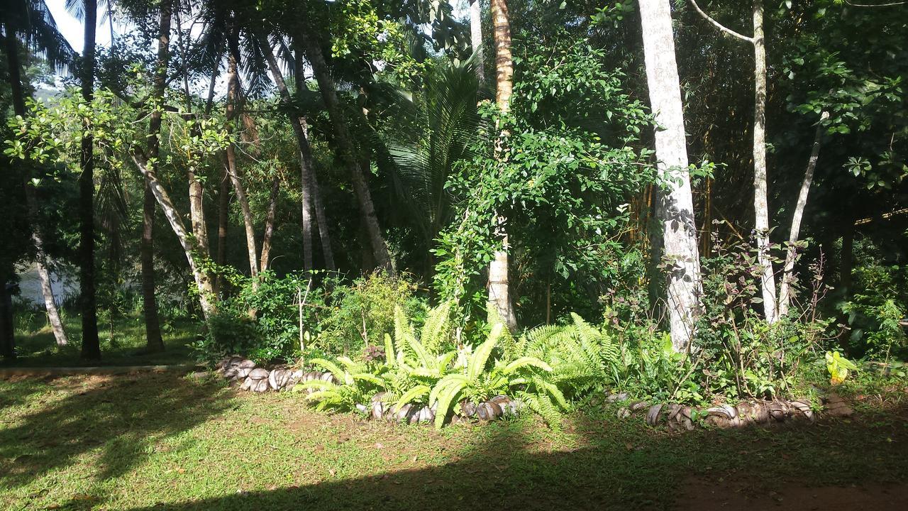 Nature'S Hideout Holiday Home Mirigama Экстерьер фото