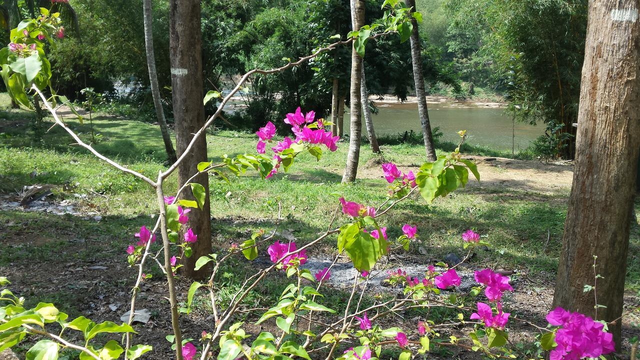 Nature'S Hideout Holiday Home Mirigama Экстерьер фото